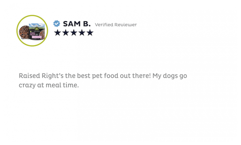 Review 10