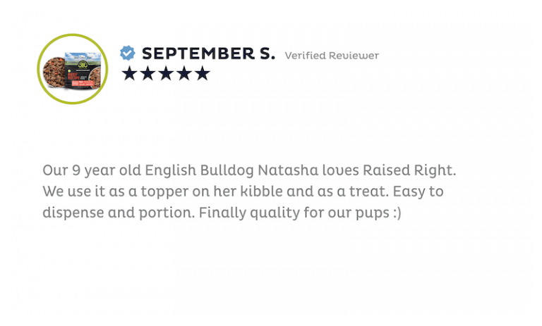 Review 11