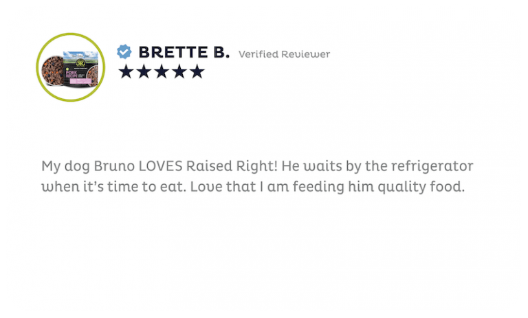 Review 9
