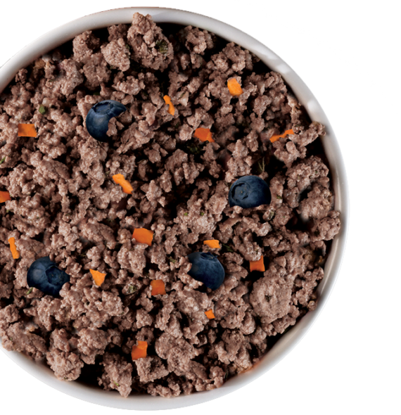 Raised Right Human Grade Dog Food and Human Grade Cat Food