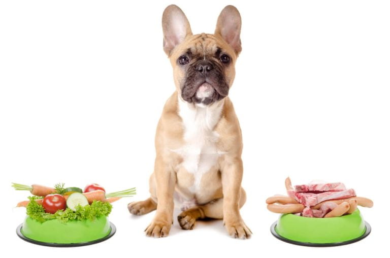 French Bulldog Food Allergies