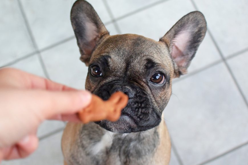 French Bulldog Weight Chart & Food Guide Raised Right HumanGrade