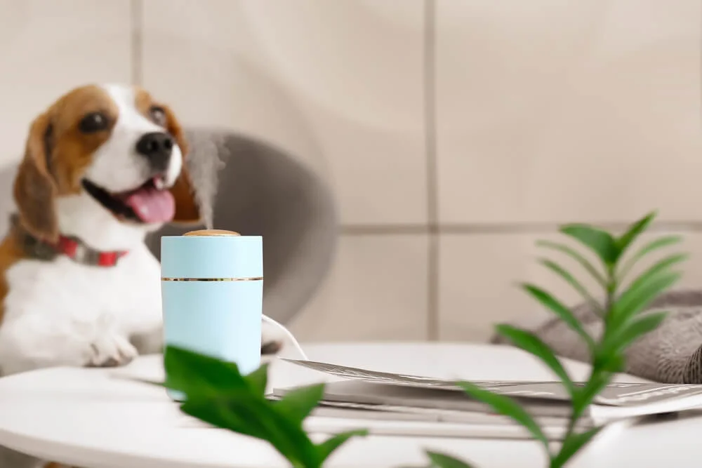 Use a home humidifier