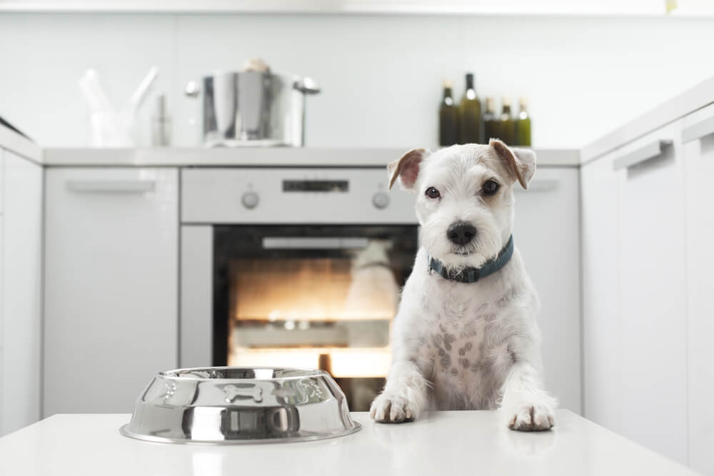 How do I select the best type of gently cooked dog food?
